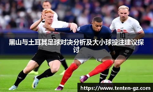 官方入口